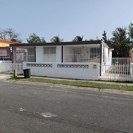 Family House Rain Forest And Beaches Pet Friendly Rio Grande Bagian luar foto