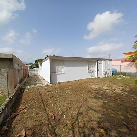 Family House Rain Forest And Beaches Pet Friendly Rio Grande Bagian luar foto