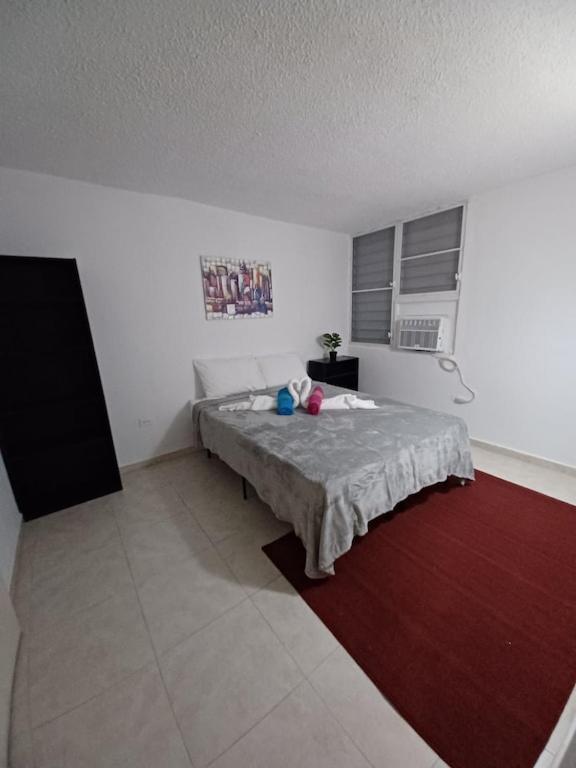 Family House Rain Forest And Beaches Pet Friendly Rio Grande Bagian luar foto